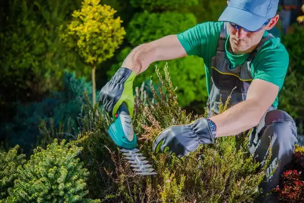 landscaping services Lloyd Harbor